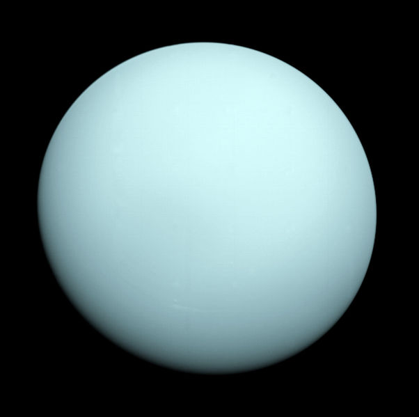 Your Uranus