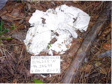 columbia astronaut remains