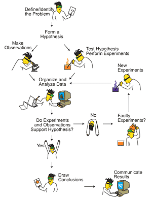 Steps of the Scientific Method: Flow Chart