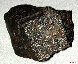 Meteorite Gra95229