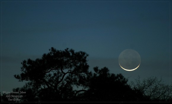 The 2% waxing crescent Moon at sunset, January 12, 2013. Credit and copyright, Tavi Greiner.