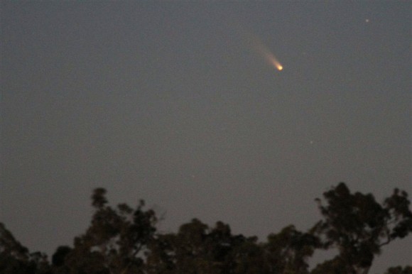 Comet L4 PANSTARRS low in the western sky over Western Australia Feb. 27, 2013. Details: 400mm lens