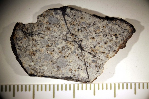 A polished slice of one of Russian meteorite samples. You can see round grains called chondrules and shock veins lined with melted rock. The meteorite is probably non-uniform. The preliminary analysis showed that the meteorite belongs to chemical type L or LL, petrologic type 5.