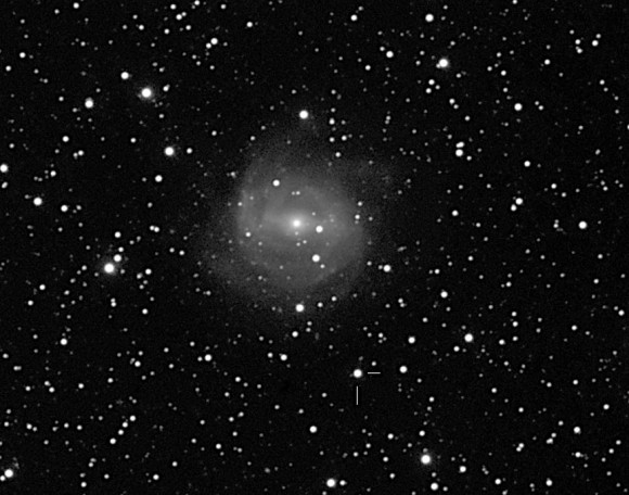 New supernova 2013aa, discovered by Stu Parker on February 13, 2013, is southwest of the spiral galaxy NGC 5643 in the southern constellation Lupus. This photo was taken three days later. Credit: Joseph Brimacombe