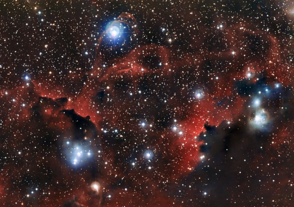 The glowing cloud Sharpless 2-296, part of the Seagull Nebula